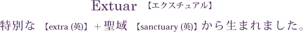 Extuar【エクスチュアル】特別な 【extra (英)】 + 聖域 【sanctuary (英)】から生まれました。