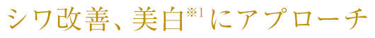 シワ改善、美白ににアプローチ