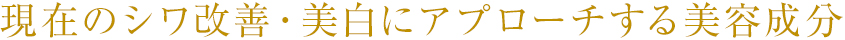 現在のシワ改善・美白にアプローチする美容成分