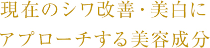 現在のシワ改善・美白にアプローチする美容成分