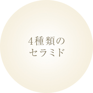 4種類のセラミド