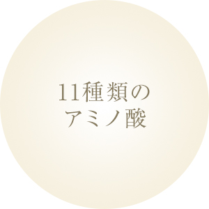 11種類のアミノ酸