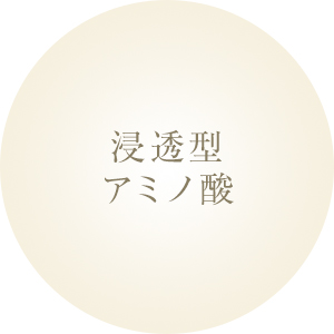 浸透型アミノ酸