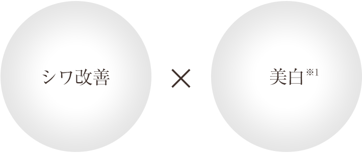 シワ改善×美白※1